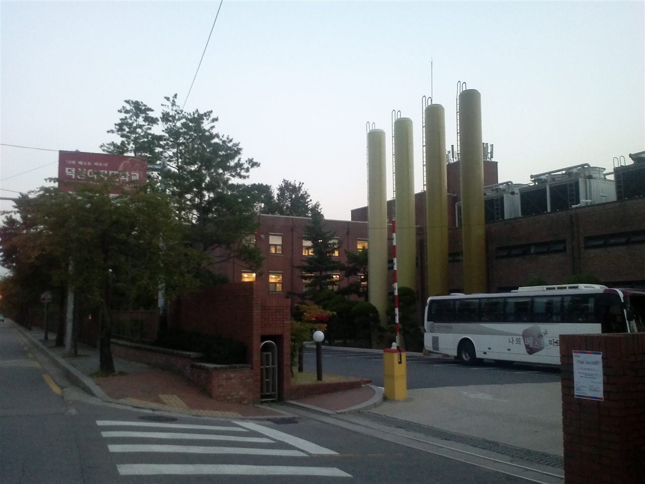 덕성여자대학교 캠퍼스 — 나무가 우거진 길 옆으로 학교 건물이 보이는 모습