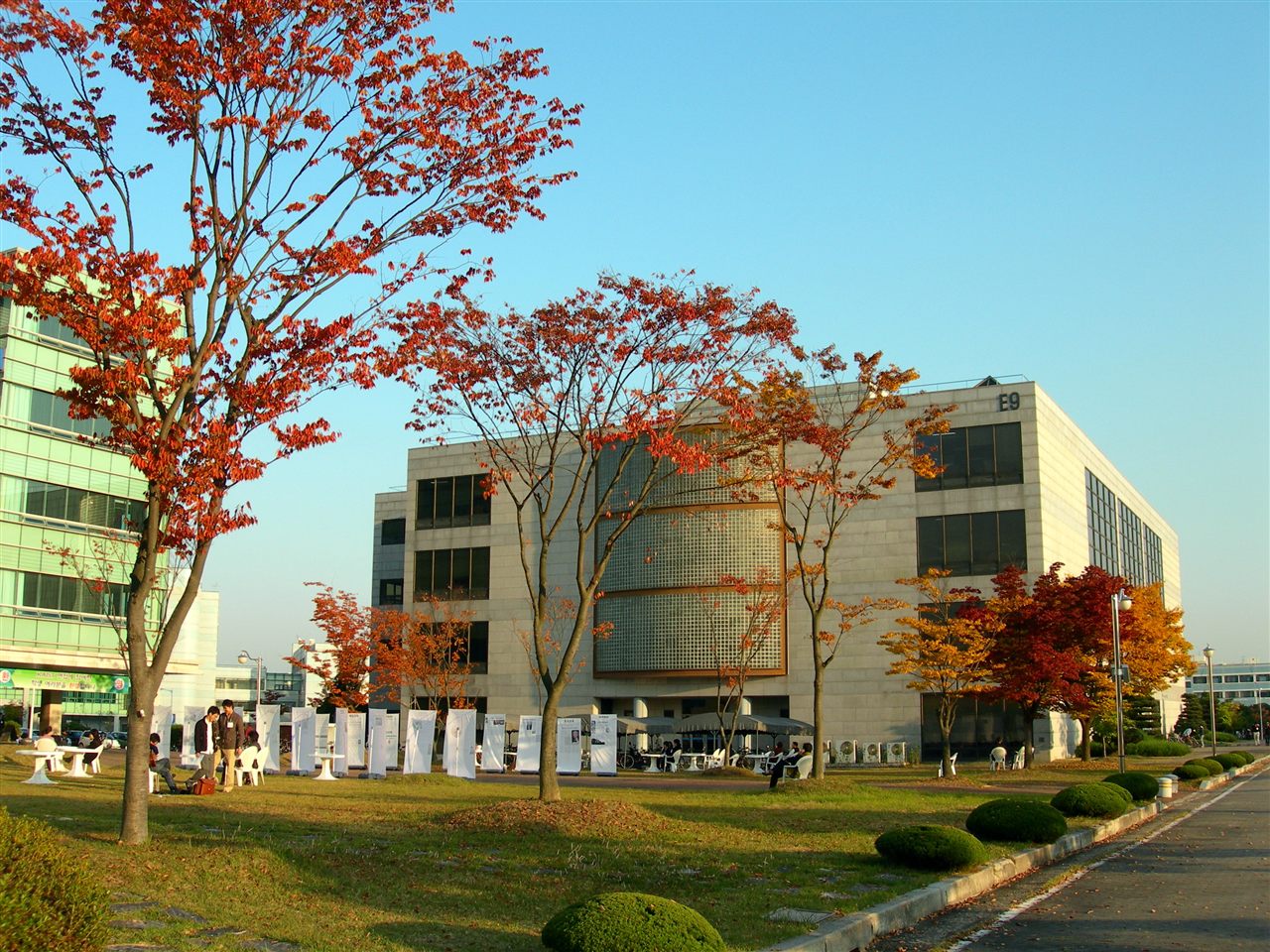 이공계 특성화대 수시 총정리 — KAIST 캠퍼스